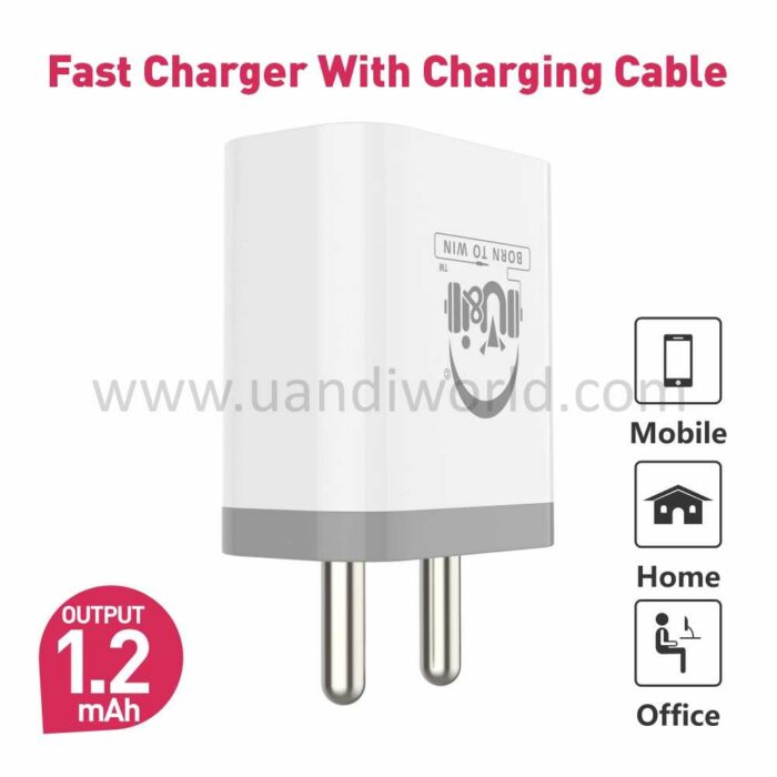 UI UiCH 3969 Charger 02