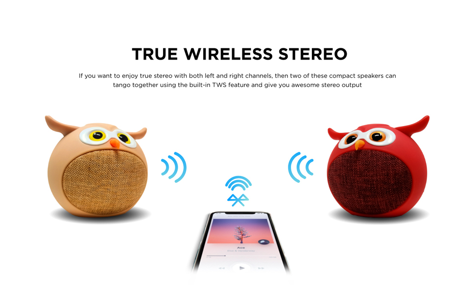 True Wireless Stereo TWS
