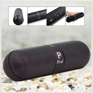 PTron Streak Multifunctional Metal Pill Wireless Bluetooth Speaker