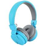 TechKing Sports Wireless Bluetooth Headphone with FM/SD Card Slot with Music and Calling Control