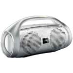 Varni S30 Soundbox 12 W Wireless Bluetooth Portable Speaker with Supporting Carry Handle, USB, SD Card, AUX, FM & Call Function (Silver)
