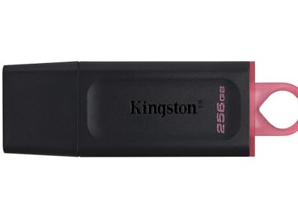 Kingston DataTraveler Exodia DTX/256 GB USB 3.2 Gen 1 Pen Drive (Black)