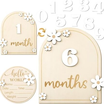 Haoser Baby Photo Props, Wooden Baby Milestone Signs, Monthly Milestone Wood Discs, Baby Milestone Discs (Daisy),1 Count